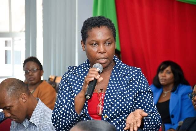 Stakeholders' Consultation GDB